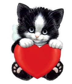 a black and white kitten holding a red heart