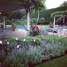 a garden with flowers and chairs next to a swimming pool in the back yard, surrounded by greenery