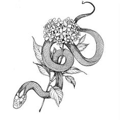 a drawing of a snake and flowers