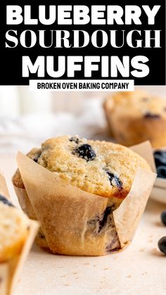 delicious blueberry sourdough muffins with broken oven baking company logo