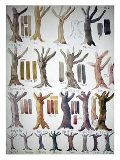 an image of different trees drawn in watercolors on paper with numbers and letters