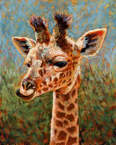 Pastel portrait of a baby giraffe rendered in a contemporary impressionist style by award winning artist Kathie Miller. Pastel Portraits, Original Pastel, Baby Giraffe, Glass Frames, Unframed Prints, Fine Art Print, Bright Colors, Contemporary Style, Natural Wood