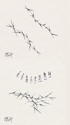 a drawing of barbed wire with the word chaos written below it in black ink on white paper