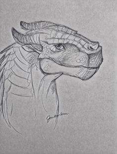 a pencil drawing of a dragon's head