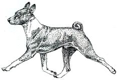 an ink drawing of a dog with spots on it's back legs and head