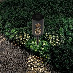 there is a black and gold pineapple sign on the side of a road in front of some bushes