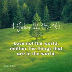 a green field with trees and the words, john 2 15 - 16 love not the world, nether the things that are in the world