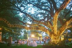 a group of people standing under a large tree covered in lights and fairy lights at night