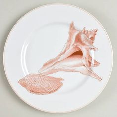 a plate with an image of a shell on it