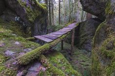 a wooden bridge over moss covered rocks in the woods