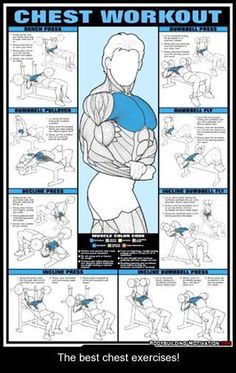 the chest workout poster with instructions