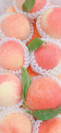 several peaches with leaves on top of them sitting on white doily next to each other