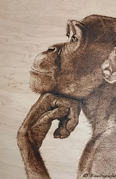 a drawing of a chimpanze holding its head in his right hand and looking to the side