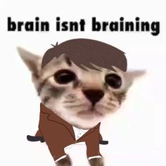 a cat with an image of a man's face and the words brain isn't training