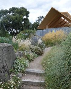 there is a very large rock and some plants on the side of this path that leads up to a building