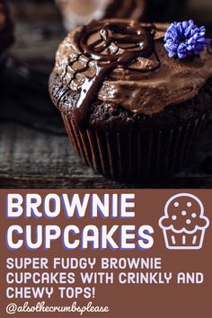 brownie cupcakes with chocolate frosting on top