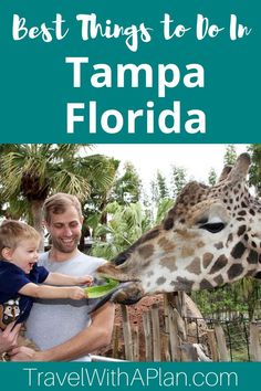 a man feeding a giraffe at the zoo with text overlay that reads best things to do in tampa, florida