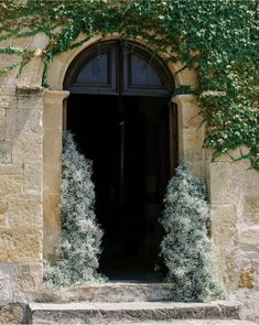 an entrance to a building with vines growing on the outside and in between it's doors