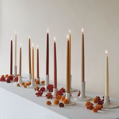 seven candles lined up on a table with dried flowers