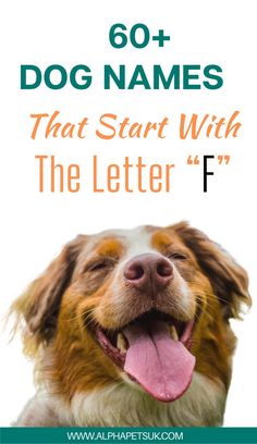 a dog with its tongue out and the words, 60 + dog names that start with the letter f