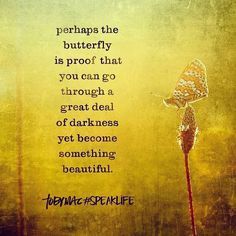 #quote #inspirationalquote Rose Hill Designs, Tobymac Speak Life, Speak Life, E Card, The Butterfly, A Butterfly