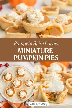 Fall in Love With Mini Pumpkin Pies: A Bite of Seasonal Bliss! Pumpkin Pie Bites Easy, Bite Size Pies, Pumpkin Pie Bites, Thanksgiving Menu Recipes, Mini Pumpkin Pie, Creamy Pumpkin Pie, Pie Pastry, Menu Recipes