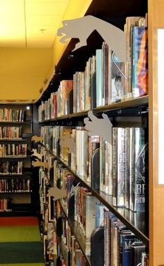 a long row of bookshelves filled with lots of different types of books and dvds