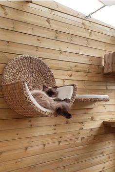 a cat is laying in a hammock hanging from the side of a wooden wall