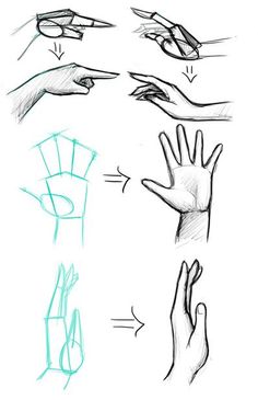 several hands are shown with different angles and shapes to show how to draw the hand