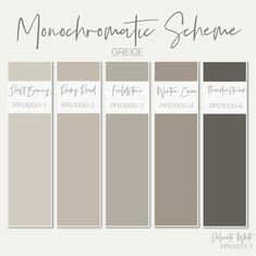 the color scheme for monochromatic scheme in gray and white, with text that says monochromatic scheme