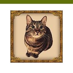 an image of a cat that is in a frame with the caption's name on it