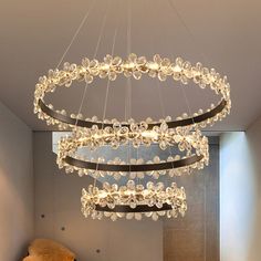 a large circular chandelier hanging from the ceiling in a room with a teddy bear