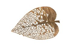 an image of a metal leaf on a white background