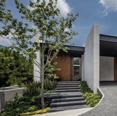 the entrance to this modern home is surrounded by greenery