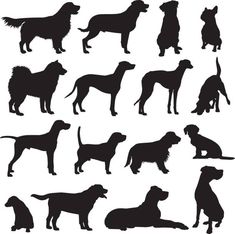 black silhouettes of dogs on white background royalty - free stock photo, images and illustrations