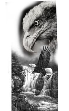 an eagle flying over a waterfall in the sky with its beak open and it's head