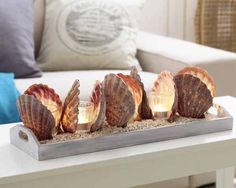 seashells are arranged on a tray with candles