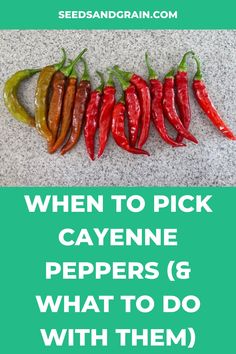 seven types of cayenne peppers and how they are