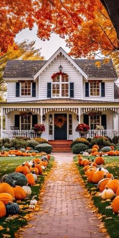 a white house with lots of pumpkins in the front yard and trees around it