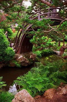 a bridge over a small stream surrounded by trees and rocks in a garden with ferns