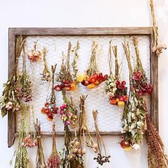 dried flowers are hung on a wall in front of a wooden frame with wire netting