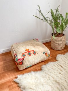 a plant in a pot next to a dog bed on a wooden floor with a white rug