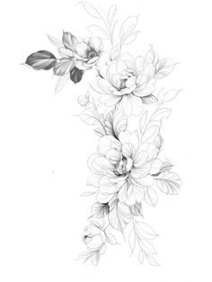 a black and white drawing of flowers