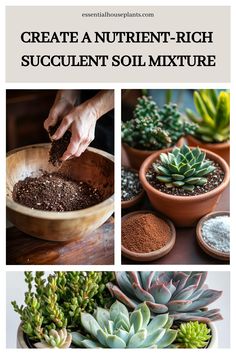 Hands mixing soil in a wooden bowl, with pots of succulents and soil components on a table. Diy Succulent Soil, Soil For Succulents, Succulent Workshop, Succulent Soil, Diy Recipe