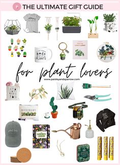 the ultimate gift guide for plant lovers