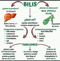 a diagram showing the different parts of an organ and how it is used in spanish