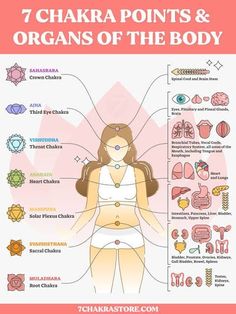 Chakra And Organs, Chakras And Organs, Chakra Organs, Chakras Explained, Endocrine Glands, Chakra Locations, Chakra Points, Nervus Vagus