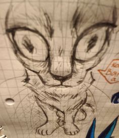 a drawing of a cat with big eyes