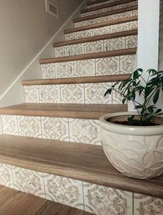 a potted plant sitting on top of a wooden stair case next to a banister