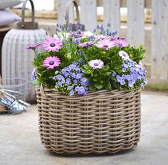 a wicker basket filled with purple and white flowers sitting on top of a patio